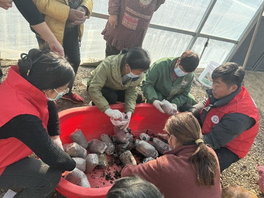 圖片2.png 圖片2.png