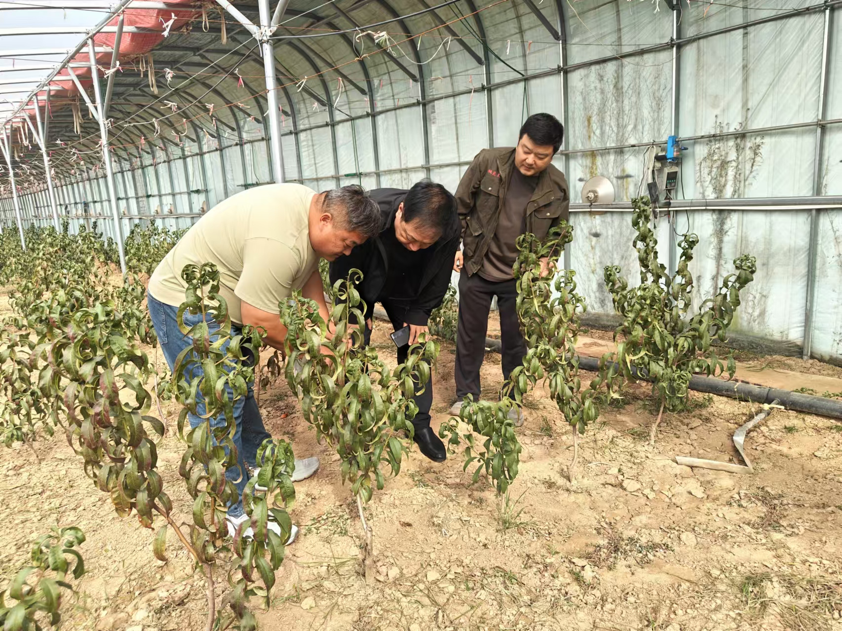 微信圖片_20241114163708.jpg 微信圖片_20241114163708.jpg