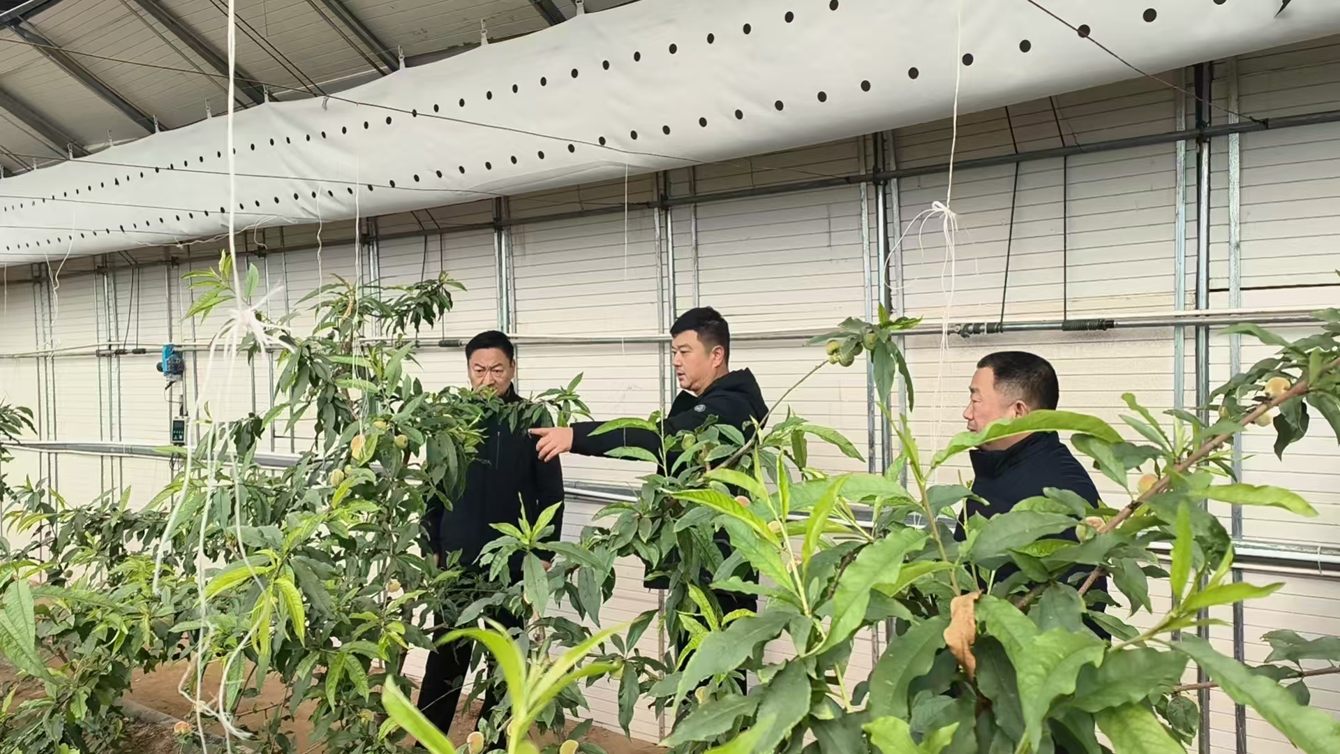 7e5001700ebbd102ea87b6d3a386702.jpg 7e5001700ebbd102ea87b6d3a386702.jpg